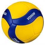 Ballon de volleyball officiel de la FIVB